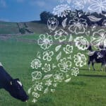 DSM receives full regulatory approval from Brazilian and Chilean authorities for Bovaer