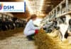 DSM receives positive EFSA opinion for methane-reducing feed additive Bovaer