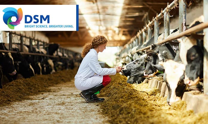 DSM receives positive EFSA opinion for methane-reducing feed additive Bovaer
