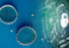 DSM's intelligent sustainability service Sustell now in aquaculture industry