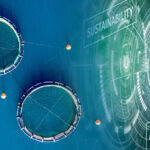DSM's intelligent sustainability service Sustell now in aquaculture industry