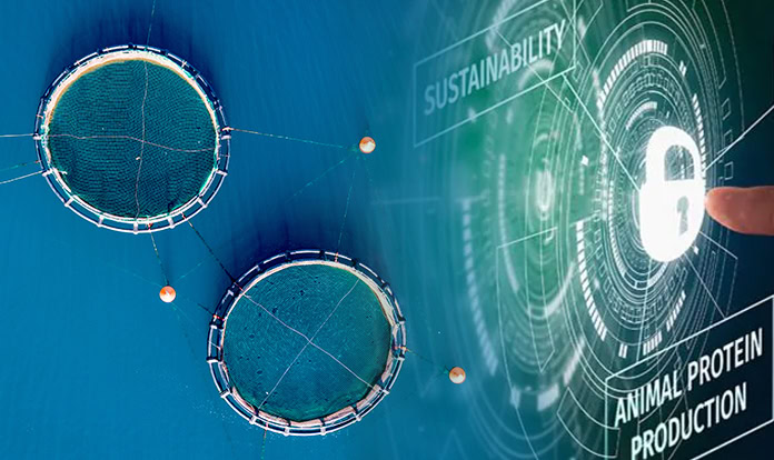 DSM's intelligent sustainability service Sustell now in aquaculture industry