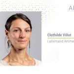 Dairy cow transition challenges: Holistic solution approach