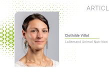 Dairy cow transition challenges: Holistic solution approach