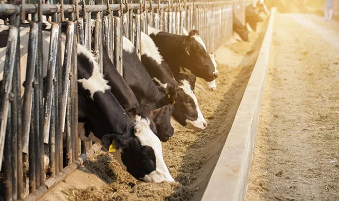 Dairyland purchases feed analysis laboratory from Waypoint Analytical ...