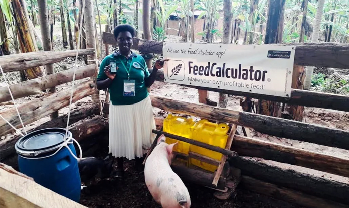 Danisco Animal Nutrition & Health leverages FeedCalculator app, increasing enzyme access for smallholder farmers