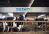 Deltavit rebrand to highlight scientific expertise