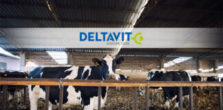 Deltavit rebrand to highlight scientific expertise