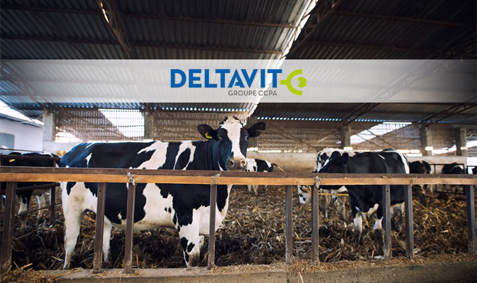 Deltavit rebrand to highlight scientific expertise