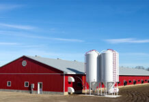 Devenish NA bolsters feed additive capabilities with Nutribins deal