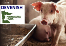 Devenish Nutrition to exhibit research-driven solutions at Minnesota Pork Congress