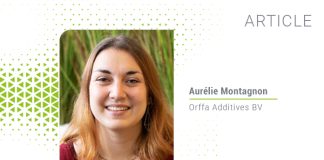 Dual benefit of emulsifiers: Performance enhancer & cost saver