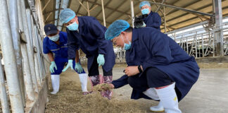 Sino-Dutch Dairy Development Centre was handed over to Jingwa Center