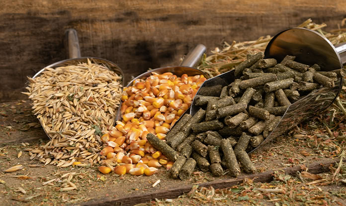 EU feed production expected to reach 146.1 million tons