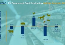 EU feed production is estimated to decline to 147 million tons in 2024