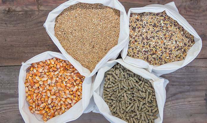 EU member states endorse ‘code’ for green labelling for feed