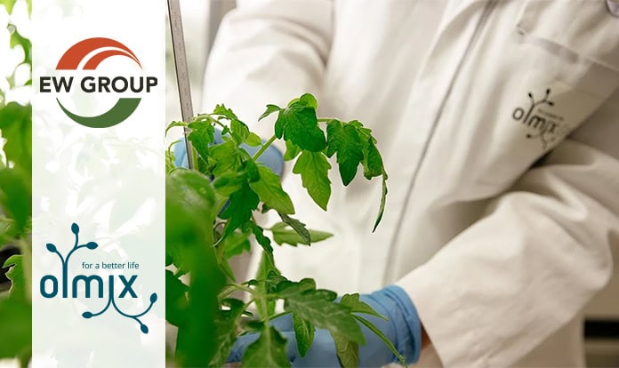 EW Group eyes Olmix acquisition to strengthen natural feed solutions ...