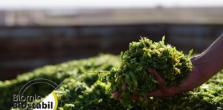 EW Nutrition acquires silage inoculant product line from dsm-firmenich