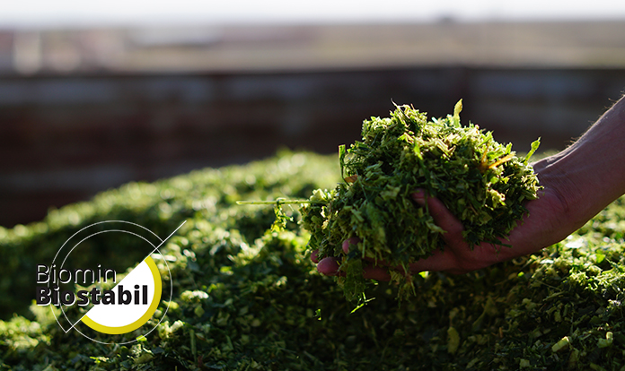 EW Nutrition acquires silage inoculant product line from dsm-firmenich