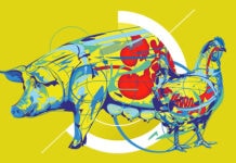 EW Nutrition advances toward full GRASP ownership