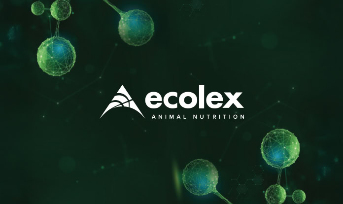 Ecolex to host exclusive seminar at VIV Asia 2025