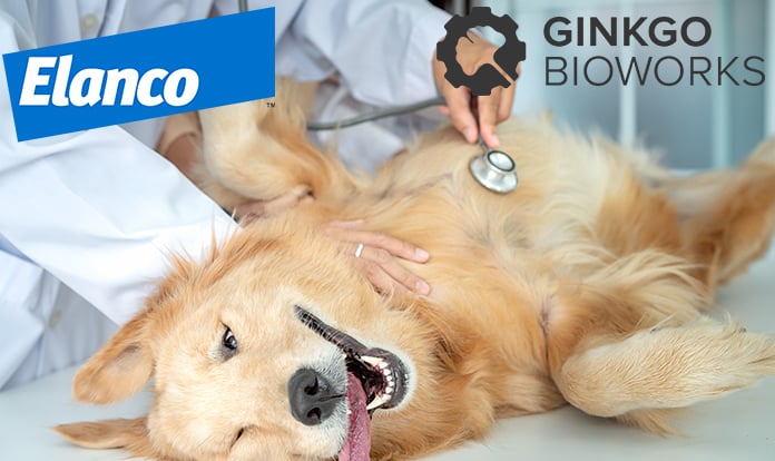 Elanco and Ginkgo Bioworks launch BiomEdit