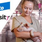Elanco and Tonisity form strategic partnership on swine products