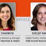 “Zero salmonella” in poultry meat and eggs: A multi-pronged strategy to reach the goal