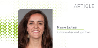 Ensuring an optimal weaning transition: Activate gut immunity and positively influence rumen microbiota to benefit calf performance