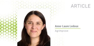 Ensuring pig feed hygiene and biosecurity: Safeguarding against salmonella, prrsv, ped, and asf contamination