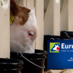 EuroTier 2026 to spotlight innovations in feed, feeding and forage production