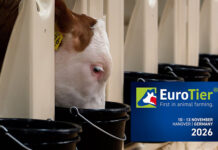 EuroTier 2026 to spotlight innovations in feed, feeding and forage production