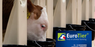 EuroTier 2026 to spotlight innovations in feed, feeding and forage production