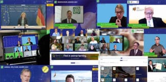 Successful debut of “EuroTier / EnergyDecentral digital”