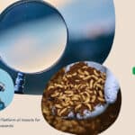 European insect sector’s priorities discussed at IPIFF workshop