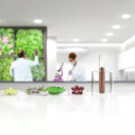 Evonik launches first plant-based feed additive