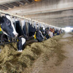 Evonik strengthens competitiveness of its animal nutrition business