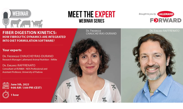 Experts share knowledge on ruminant diet formulation at Lallemand's event