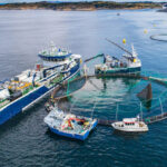 F3 launches $200K global fish-free feed challenge