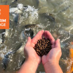 F3 to host free webinars for $200K Fish Farm Challenge