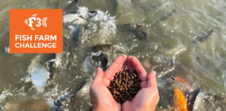 F3 to host free webinars for $200K Fish Farm Challenge