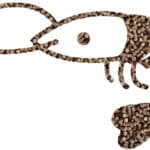 FAMSUN introduces new micro-pellet shrimp feed pelleting line