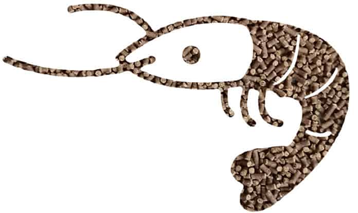 FAMSUN introduces new micro-pellet shrimp feed pelleting line