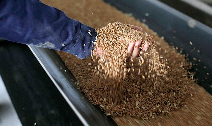 FAO: World food prices reach new peak since July 2011