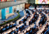 FAO conference highlights sustainable livestock solutions