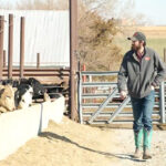 FBN and Boveta partnership improves feed efficiency and carcass yield, reduces methane