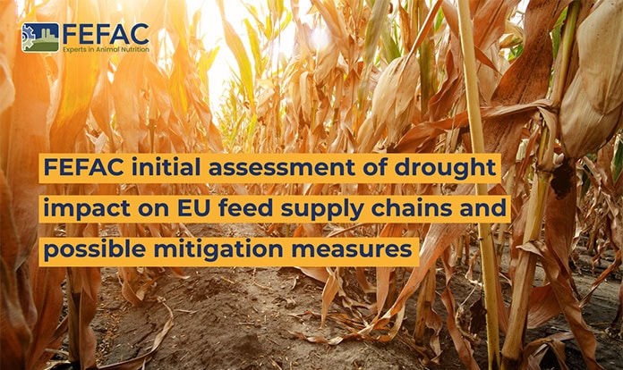 FEFAC calls for urgent measures to protect EU feed supply