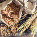 FEFAC urges EU to finalise NGTs regulation for resilient agri-food sector