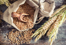 FEFAC urges EU to finalise NGTs regulation for resilient agri-food sector