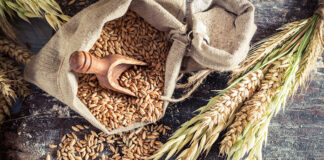 FEFAC urges EU to finalise NGTs regulation for resilient agri-food sector